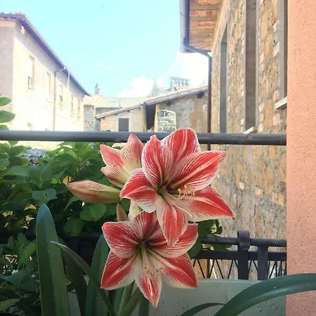 Atmosfera D'arte - Private Parking Gæstehus Orvieto