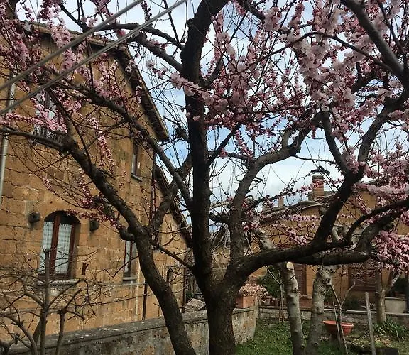 Atmosfera D'arte - Private Parking Casa de hóspedes 5*