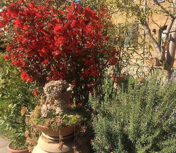 بيت ضيافة Atmosfera D'arte - Private Parking