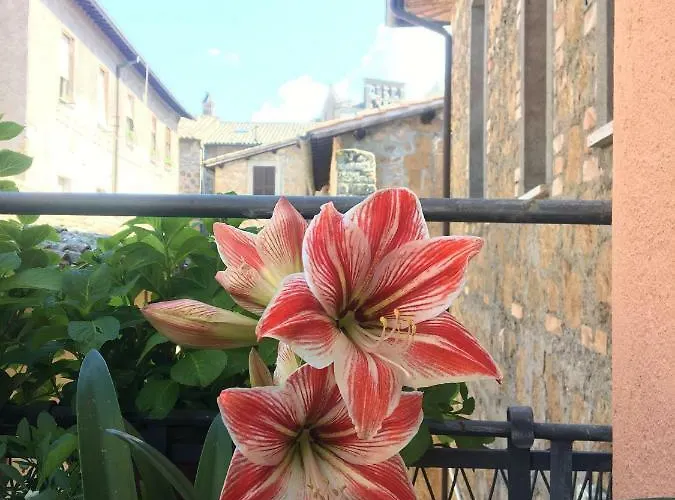 Atmosfera D'arte - Private Parking Pensión Orvieto